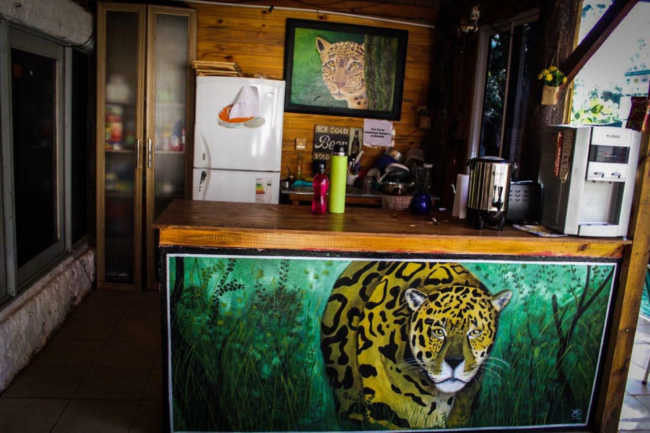 Hostel Krieger Haus Puerto Iguazú Zewnętrze zdjęcie